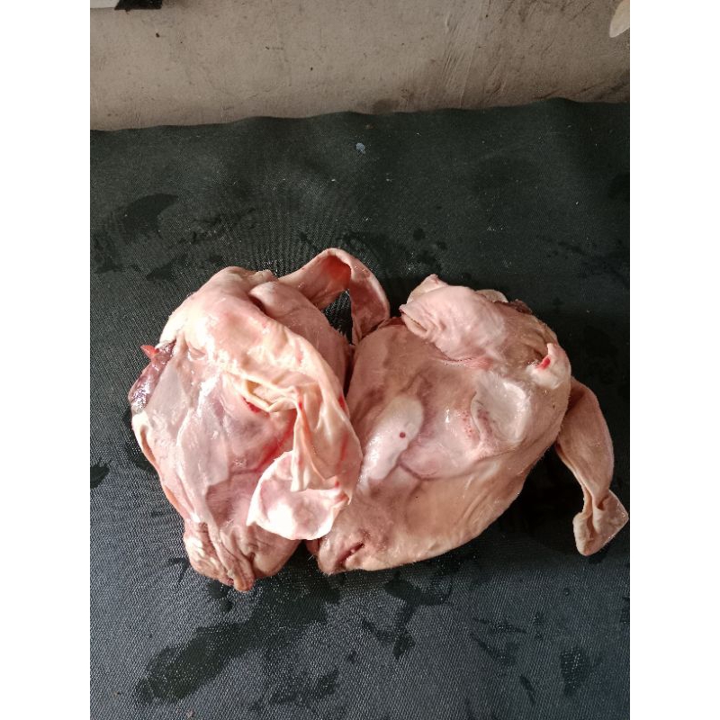 

Daging Kambing Bagian Kepala (Kepala Kambing)