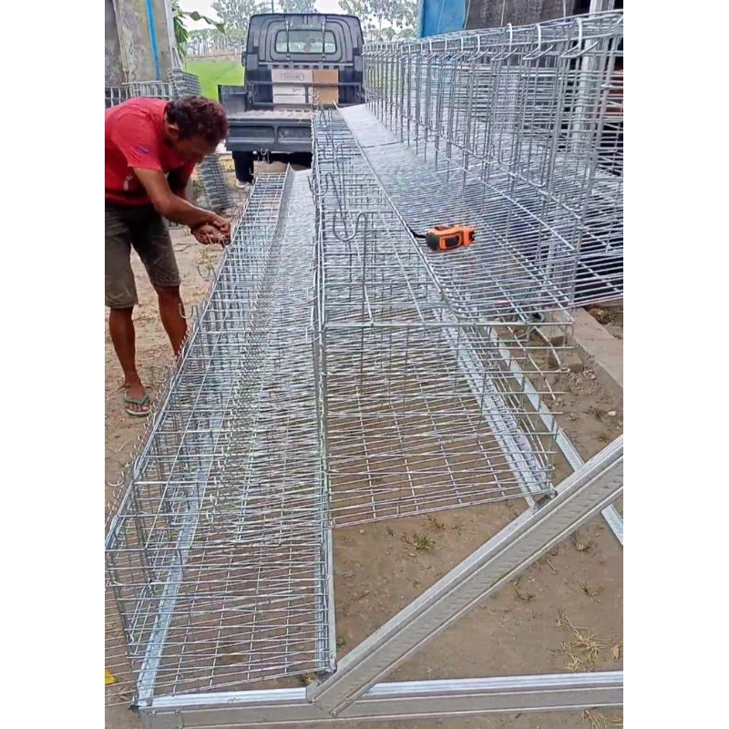 Kandang Ayam Petelur Rumahan Populasi 30 Ekor Pintu 10 (1 kamar isi 1 ekor)