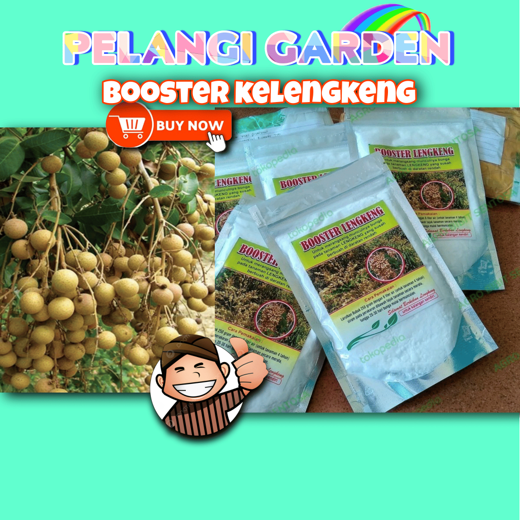 Booster Kelengkeng New Kristal Berbunga, Booster Kelengkeng Organic, Booster Kelengkeng Okulasi, Boo