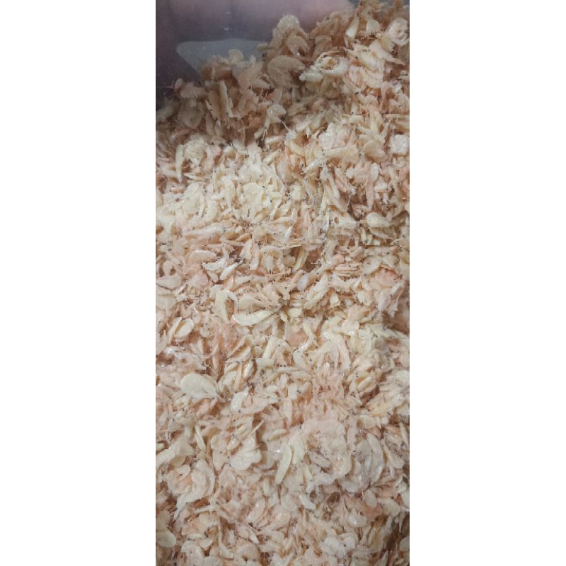 

Udang Rebon