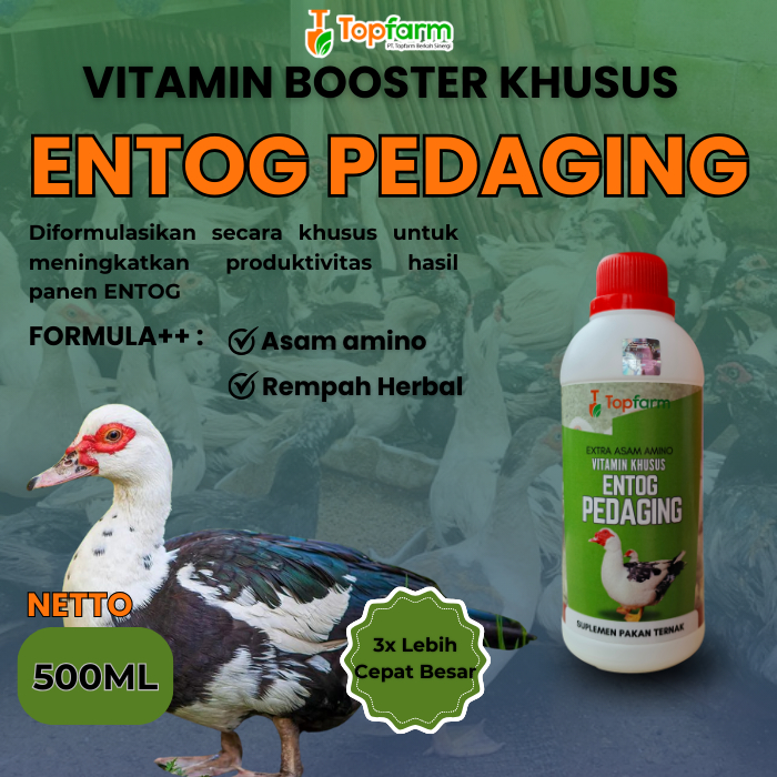 Vitamin Entog Pedaging 500ML/ Vitamin Booster Penggemuk Entog/ Vitamin Entog Pedaging/ Vitamin Entog
