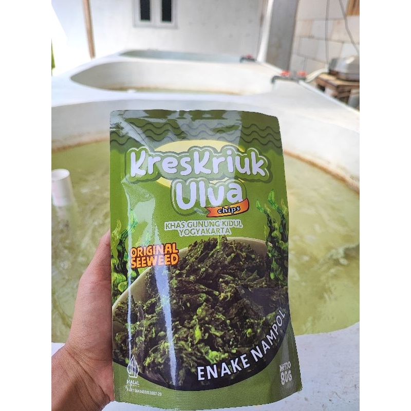 

Pusat Keripik Rumput Laut (Tepus,Gunung kidul)