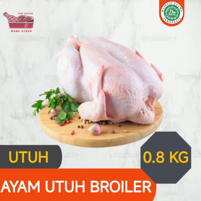 

DAGING AYAM BROILER KARKAS 0.8 KG