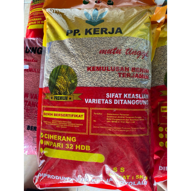 Benih padi varietas Ciherang PP Kerja Premium 5kg/ ciherang ppkerja premium kemasan 5kg ASLI Pabrik