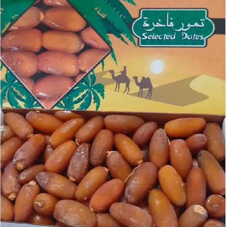 Kurma Muda Ruthab Libya 1Kg Fresh Ruthob Luxury Dates / kurma Basah