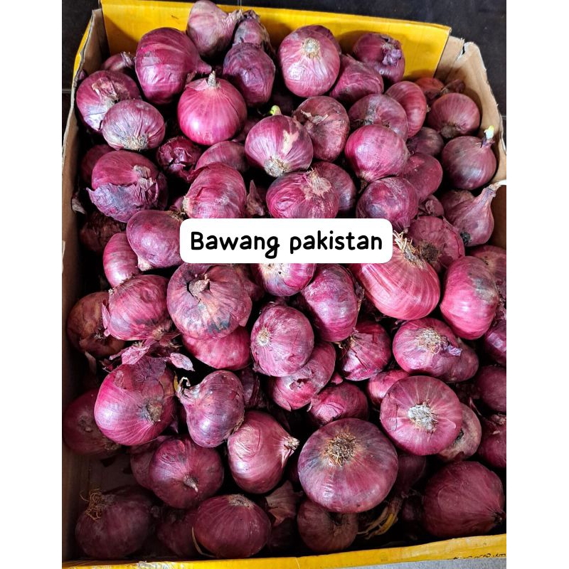 

bawang pakistan murah 1kg