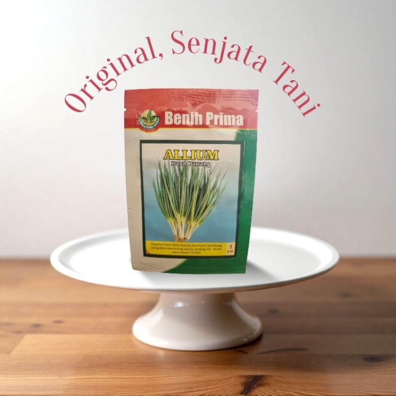 Benih/Bibit Daun Bawang Allium 1gr
