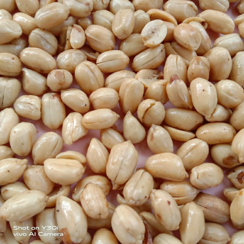 

kacang bawang
