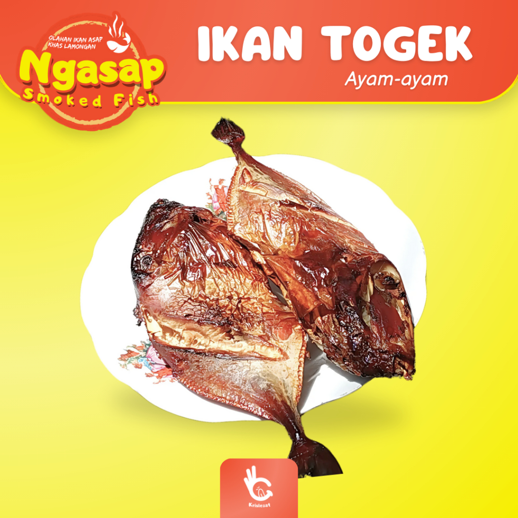 

Ngasap - Ikan Laut Togek / Ikan Ayam ayam Asap Panggang Lamongan Pantura Fresh Lezat Siap Olah