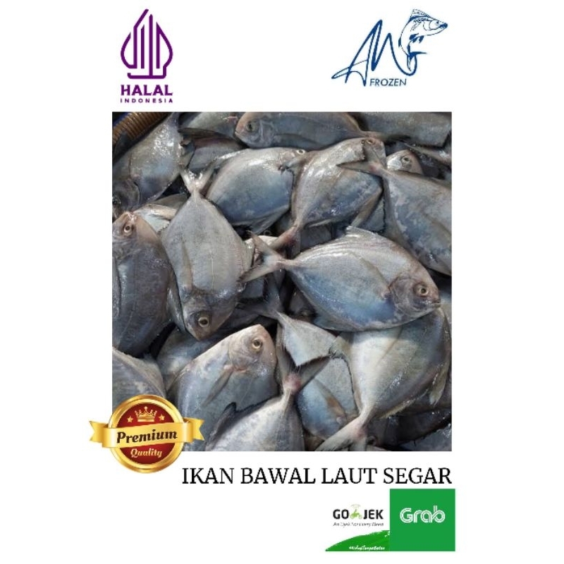 

IKAN BAWAL LAUT SEGAR 1KG PREMIUM