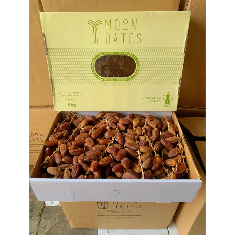 

Grosir Kurma Tunisia Tangkai PREMIUM Deglet Nour 5Kg