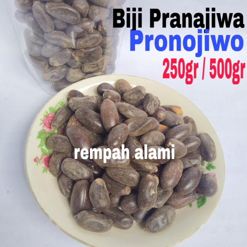 

Pronojiwo / Biji Pranajiwa 250/500gr