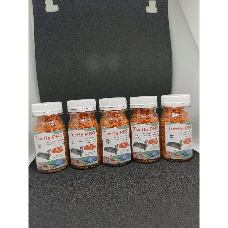 pakan kura kura bulus