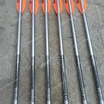 Arrow Platinum Easton/ Anak panah