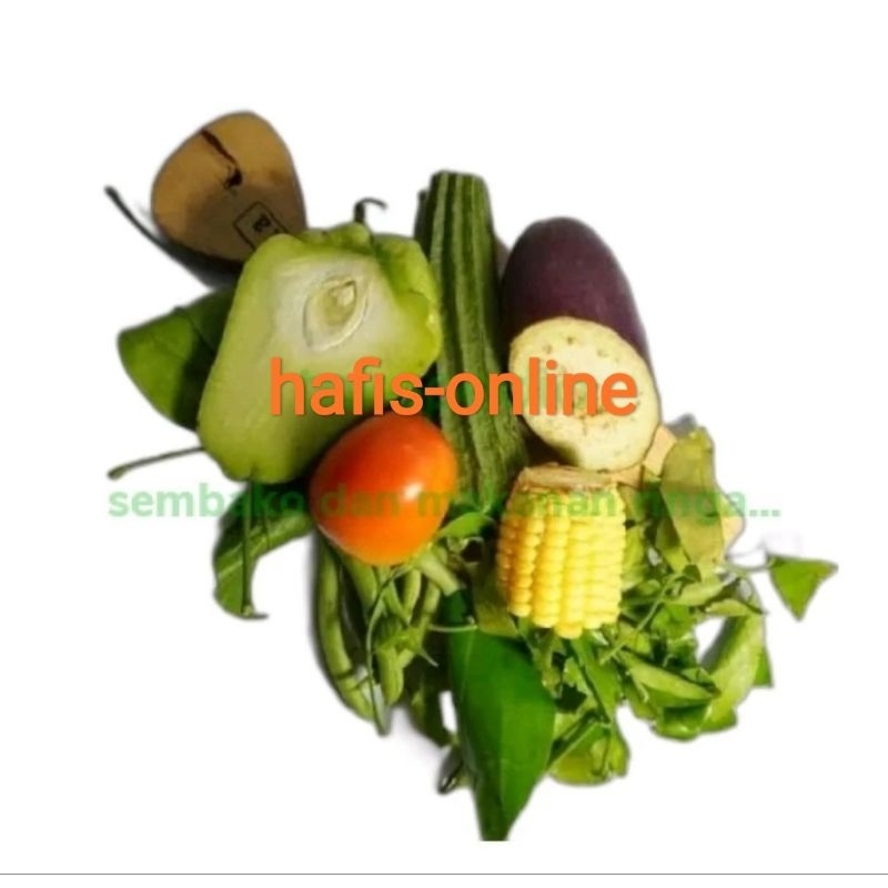 

paket sayur lodeh fresh