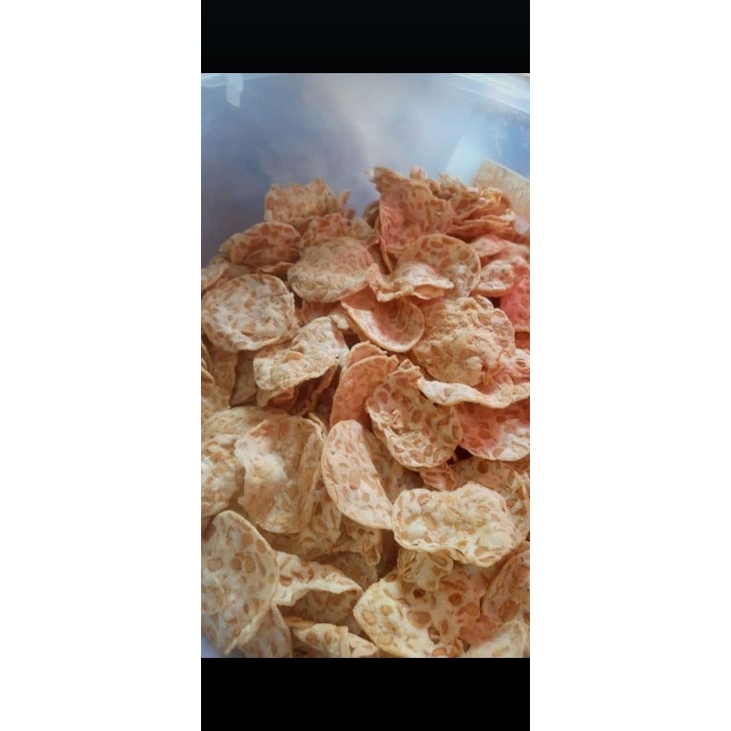 

keripik tempe 250 gr