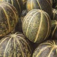 

Buah Belewah, Blewah Segar perbuah Utuh