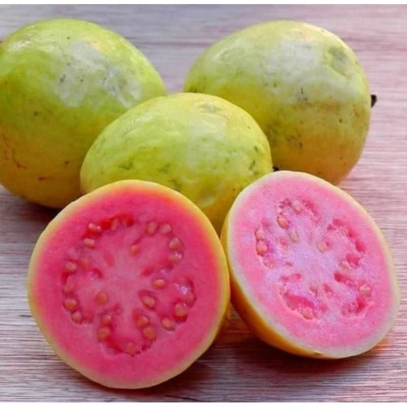 READY JAMBU BIJI MERAH SEGAR 1 KG