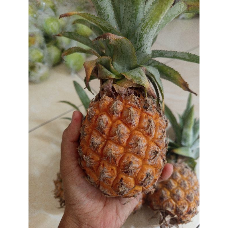 

Fresh nanas madu