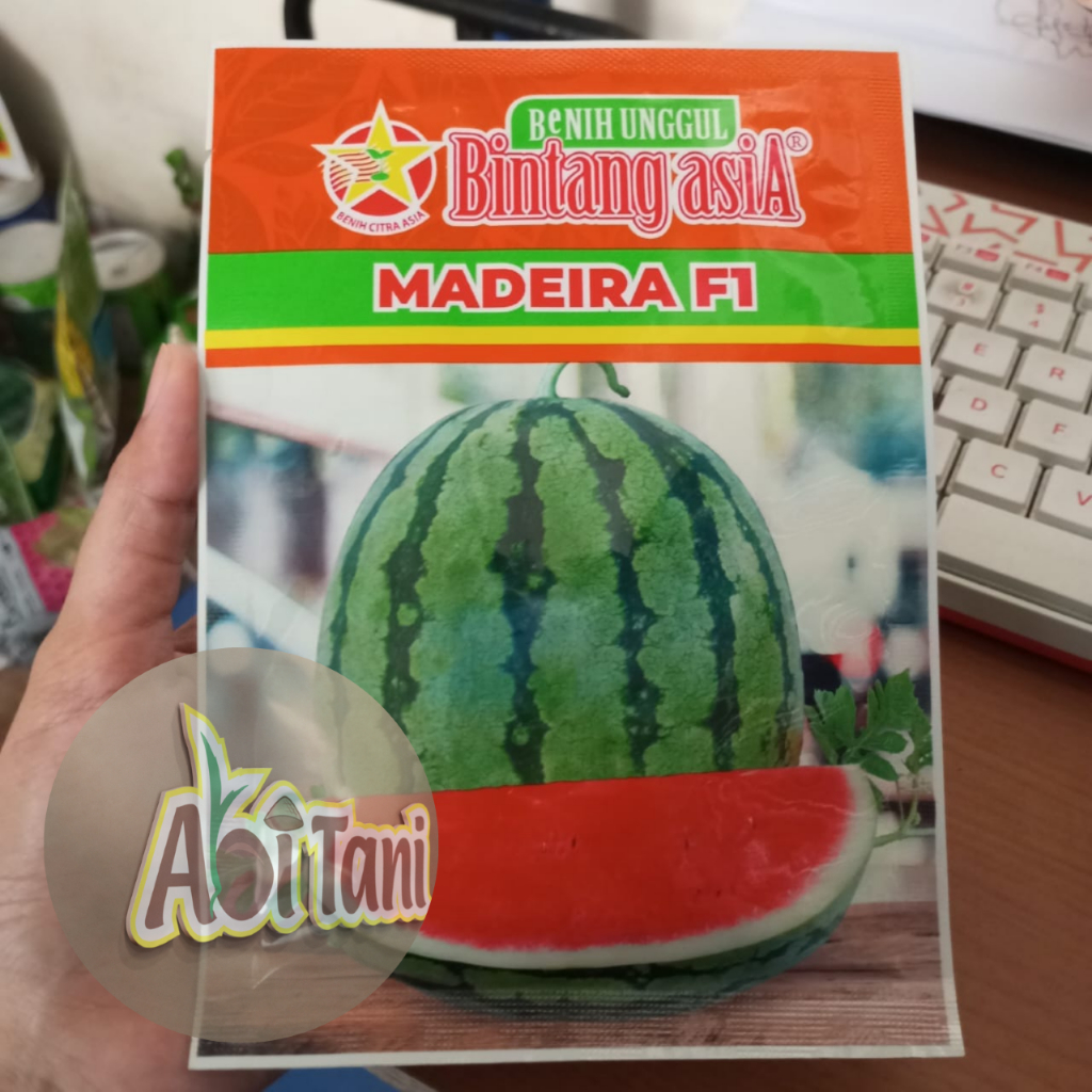 Bibit Benih Semangka Madeira F1