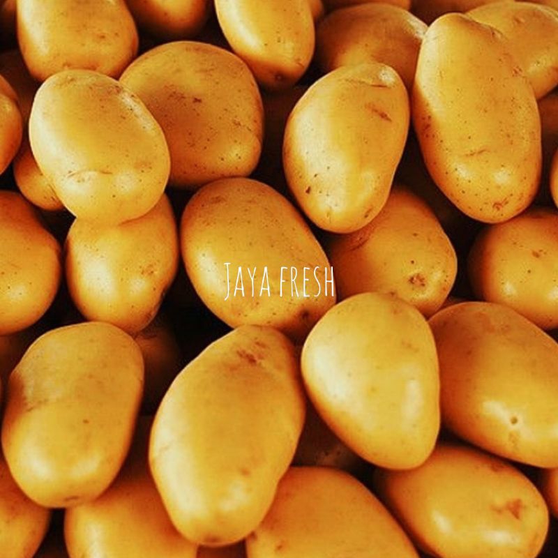 

KENTANG DIENG FRESH KUALITAS SUPER 1KG