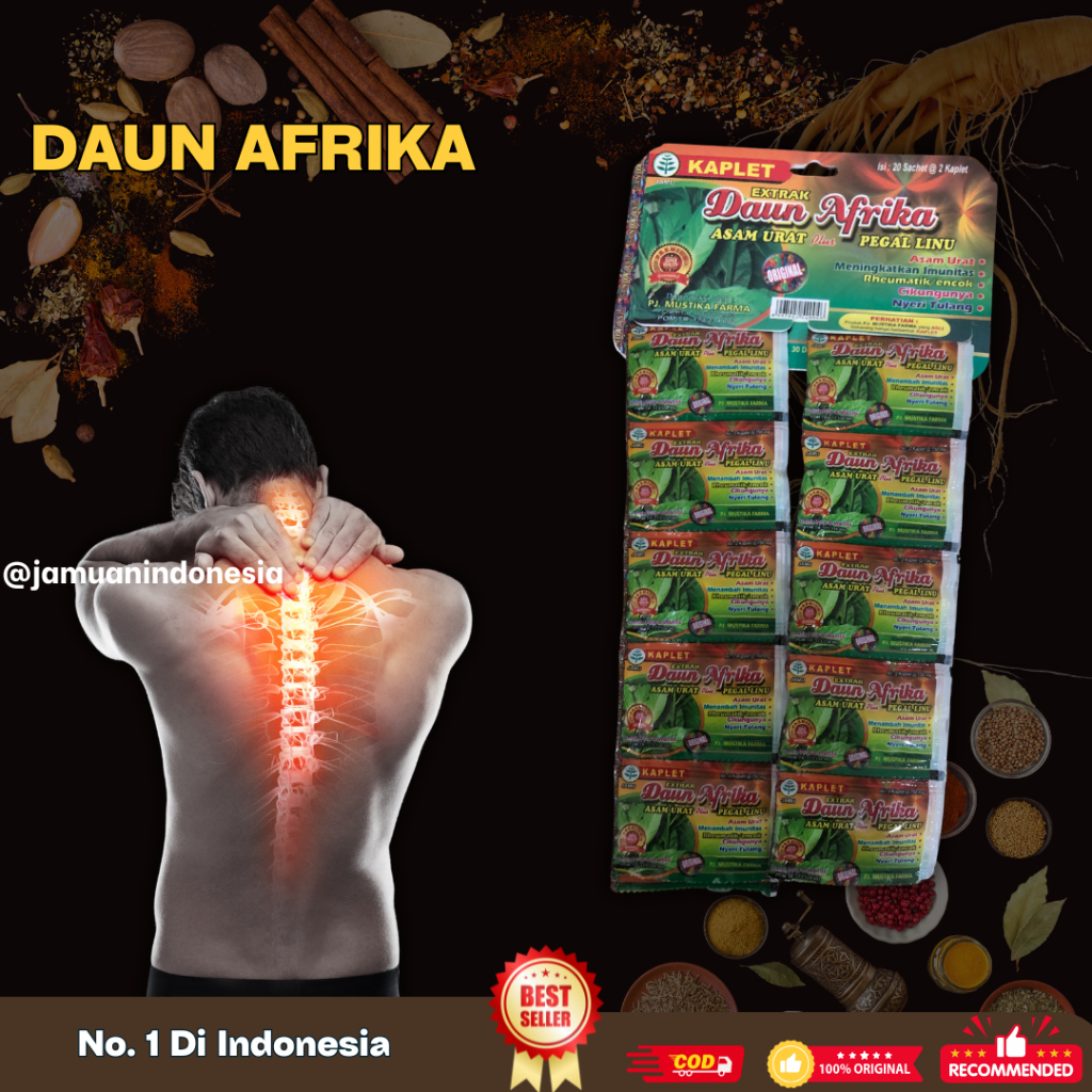

Jamu Herbal Daun Afrika Original 100%