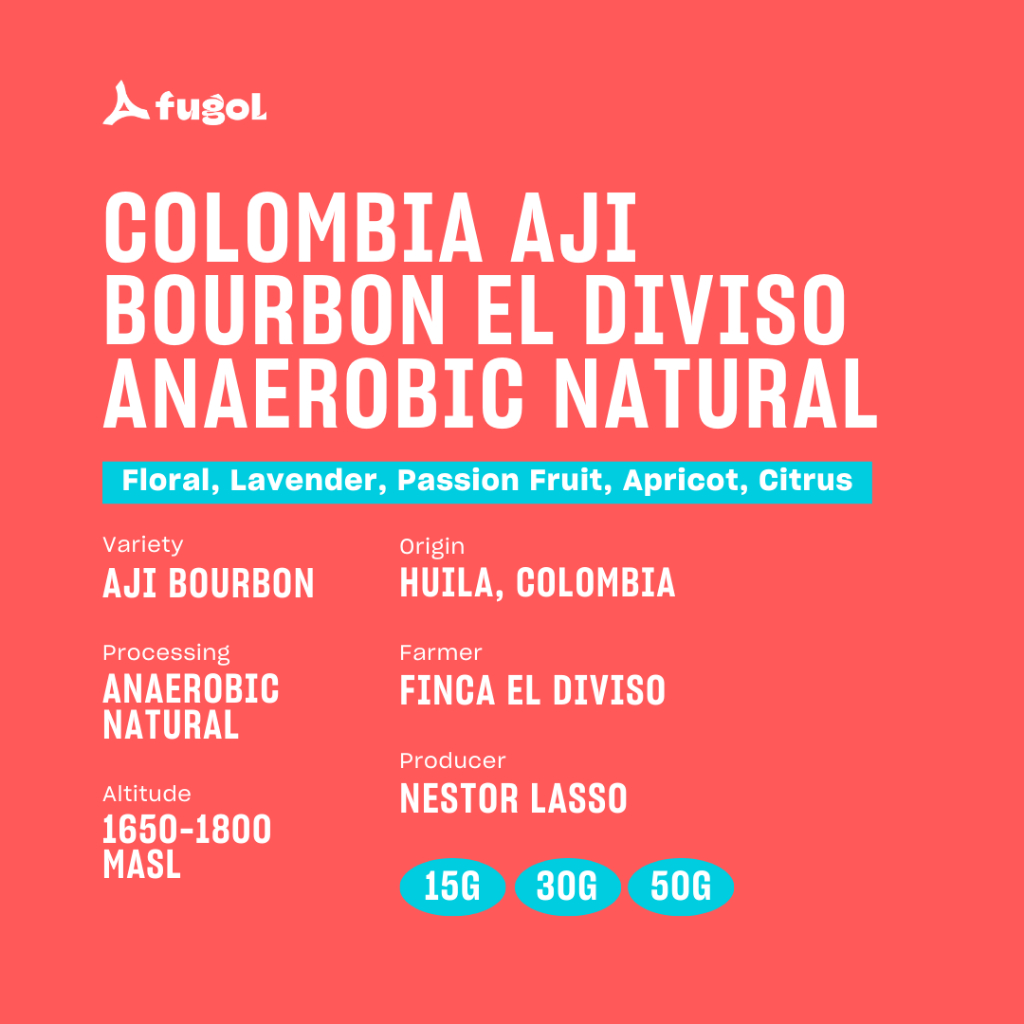 

Colombia Aji Bourbon El Diviso Anaerobic Natural