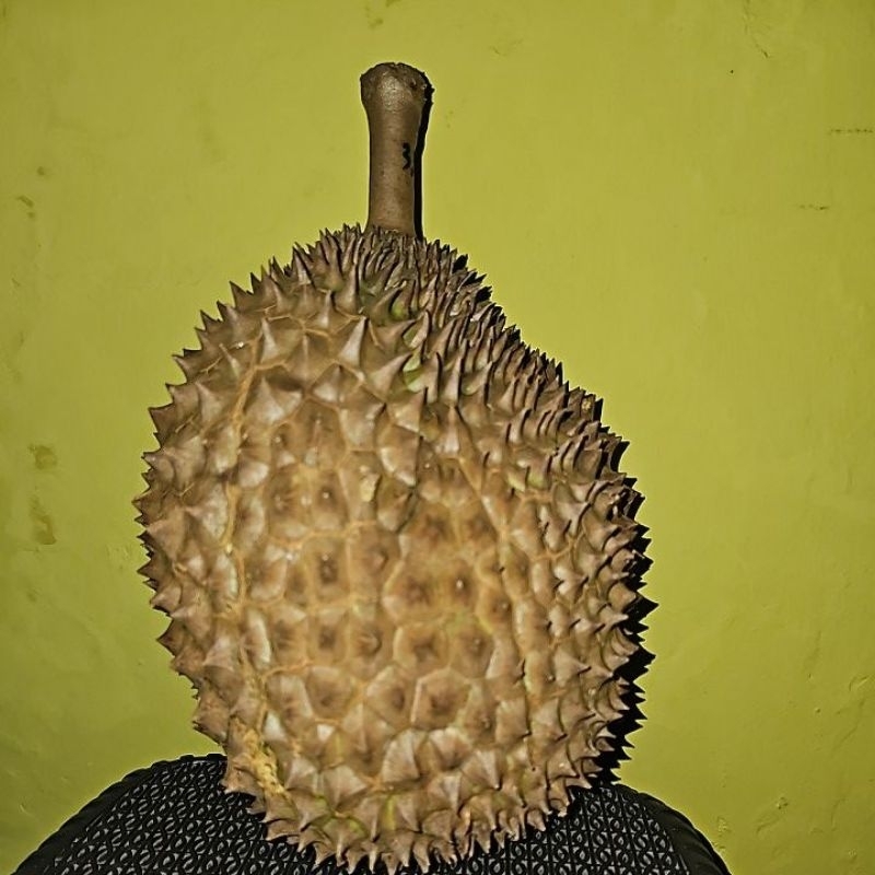 

DurenBawor&Montong✅️