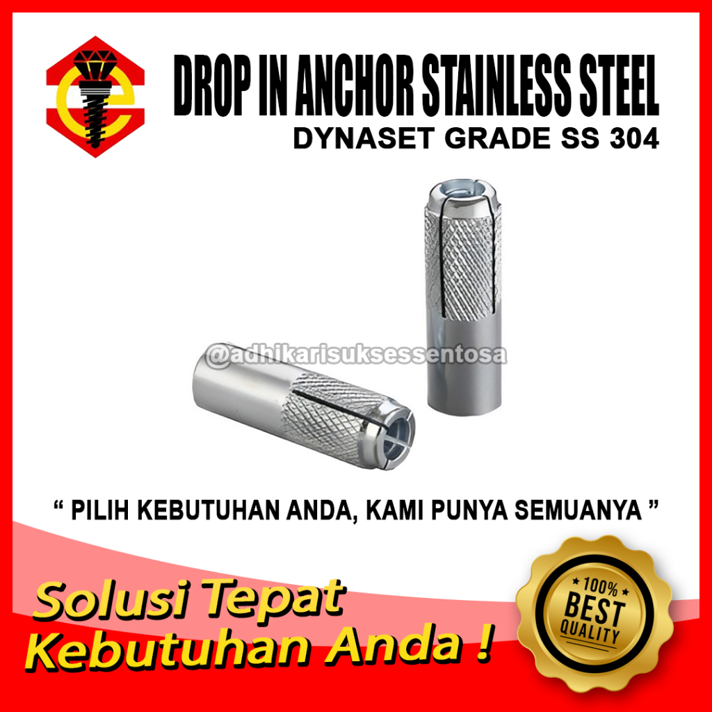 SS 304 / Dynaset M8 / Dinaset 8 MM Stainless / Drop In Anchor M8x10x30