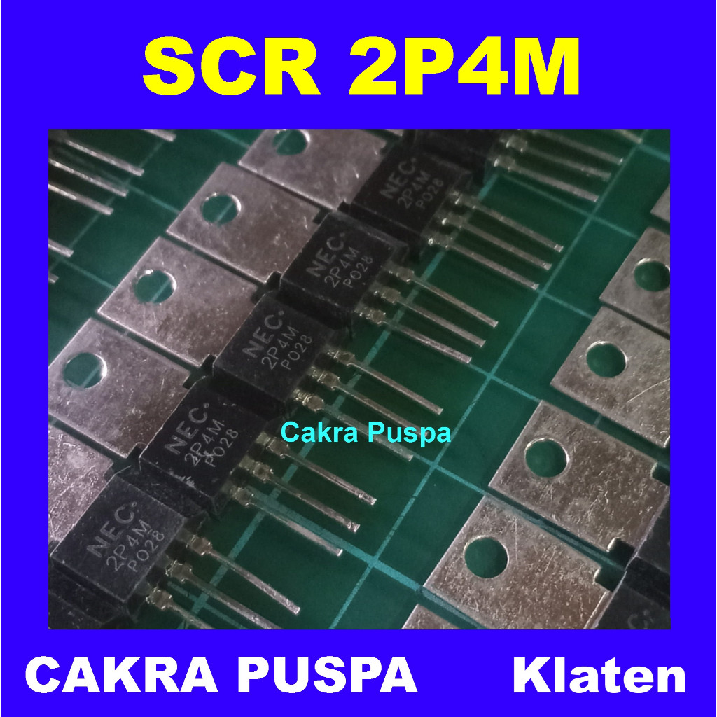 SCR 2P4M