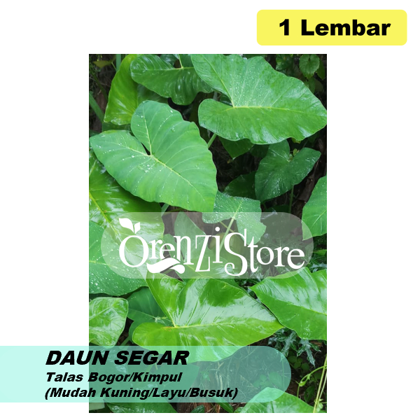 

Daun talas Bogor/ fresh murah / bungkus buntil / masakan buntil segar lebar 1 lembar untuk pakan ikan