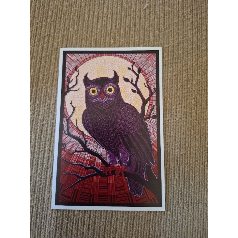 

kartu pos burung hantu/lantern press owl postcard