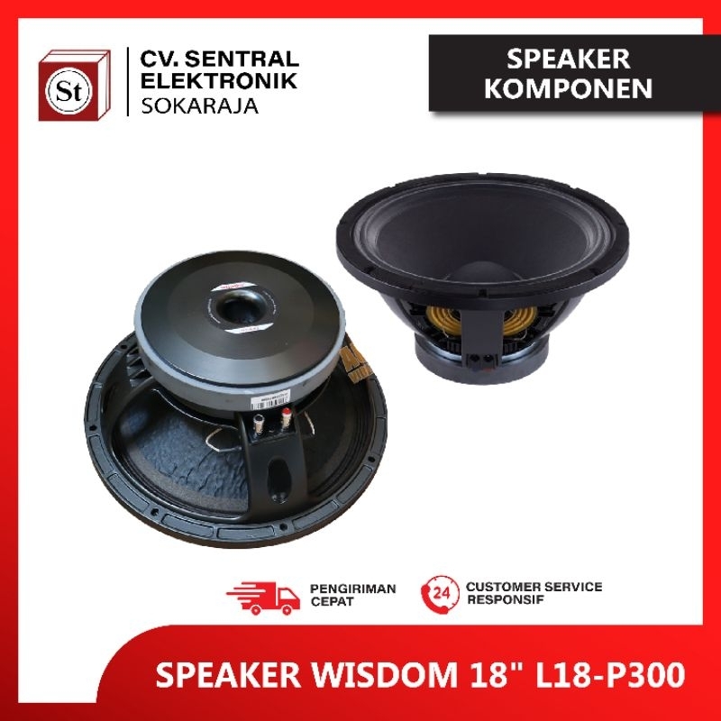 SPEAKER WISDOM 18" L18-P300
