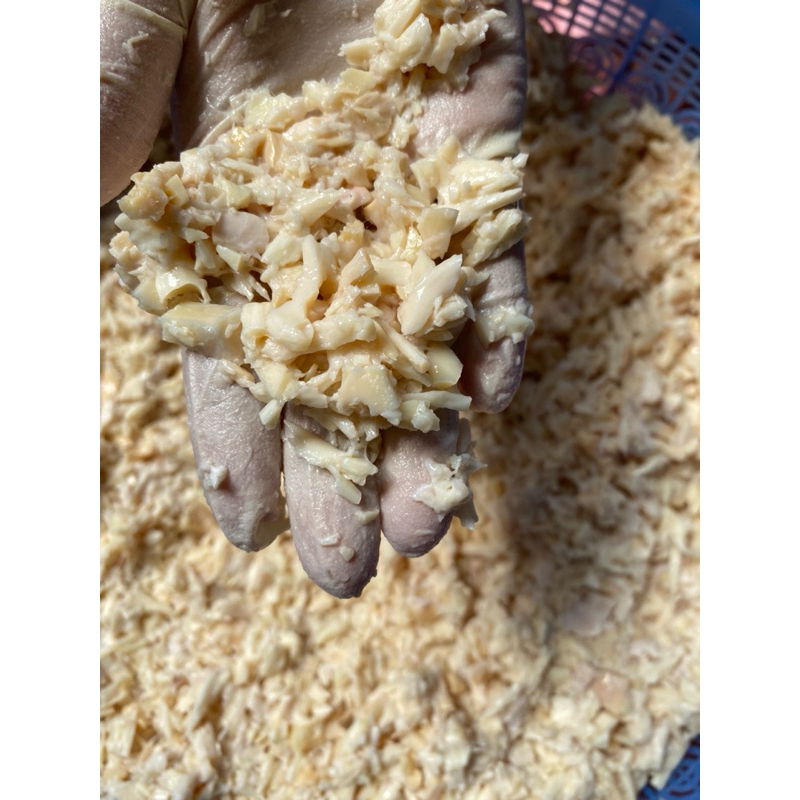 

Urat Sapi / Urat Mayang Cincang
