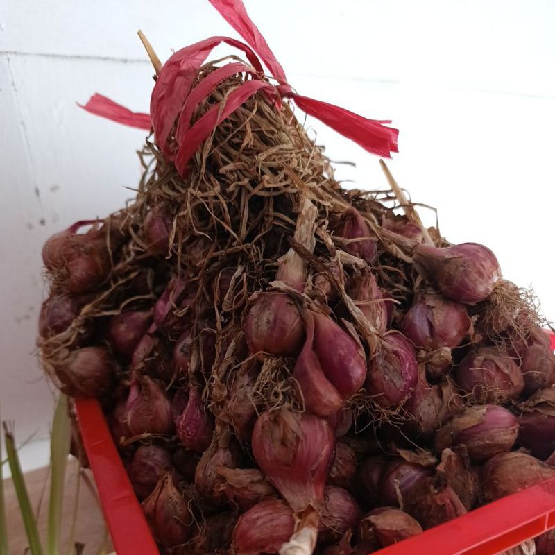 

1 kg bawang lokal bandung premium langsung dari petani