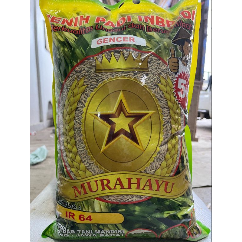 

IR 64 GENCER SUPER GENJAH