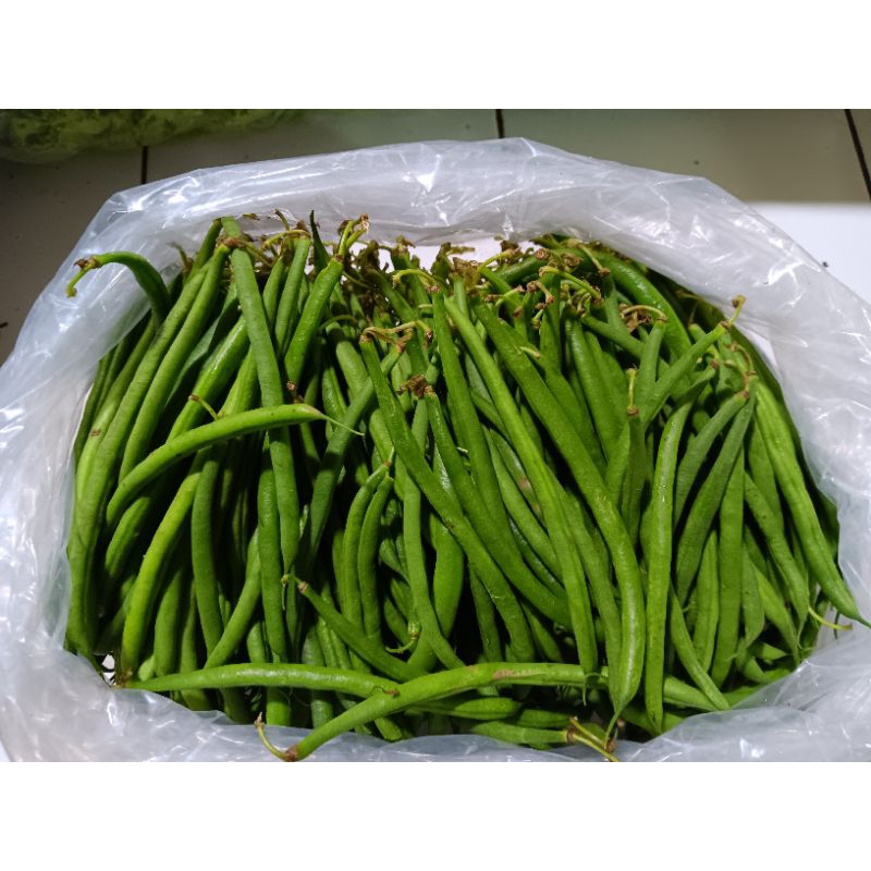 

baby kenya 250gr