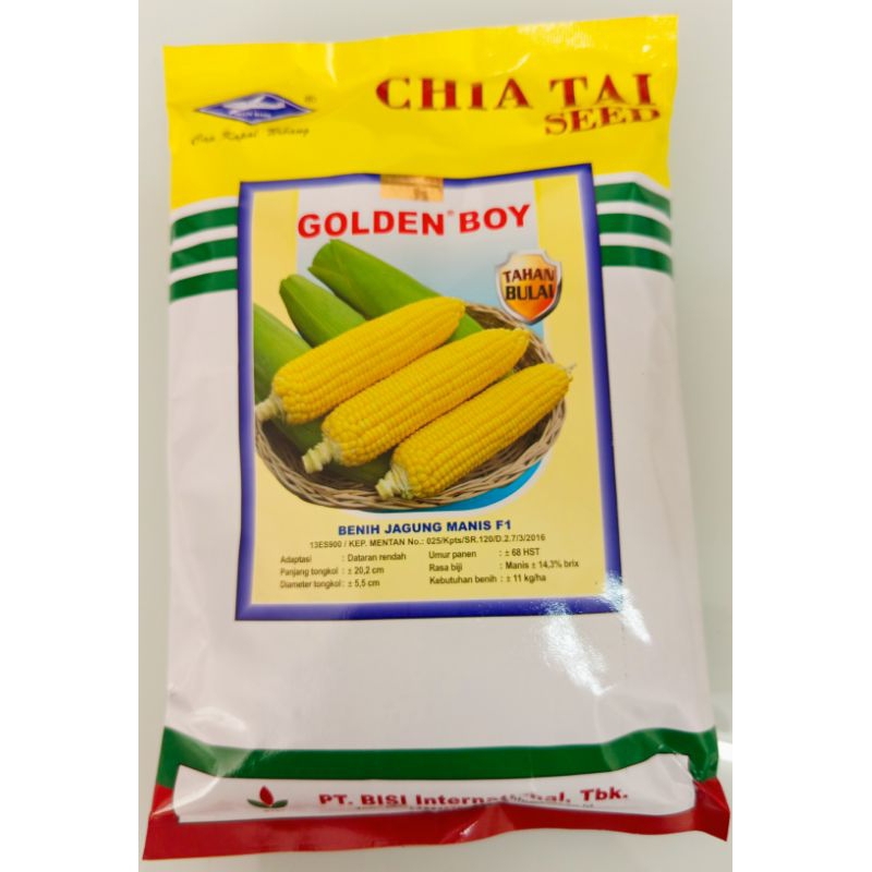 

Benih jagung manis GOLDEN BOY 500 gram