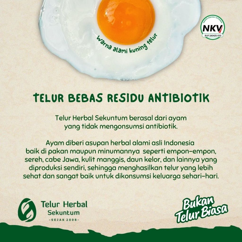 

HA Telur Herbal Sekuntum (30 Butir) Besar & Kecil - Telor Ayam Anti Alergi Omega 3 6 9 Bebas