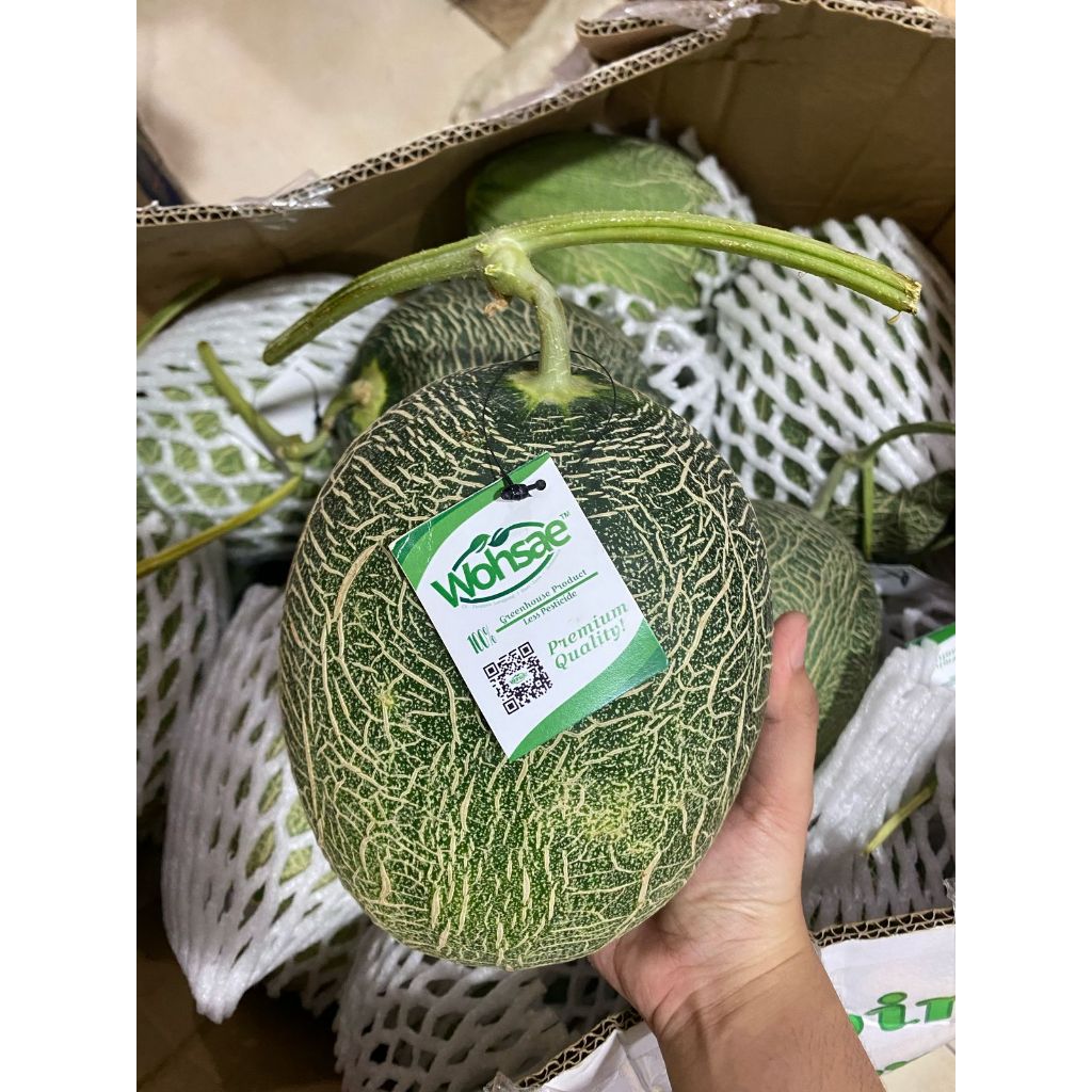 

MELON HAMIKUA. MELON IMPORT MELON ORANGE MELON ENAK FRESH MANIS