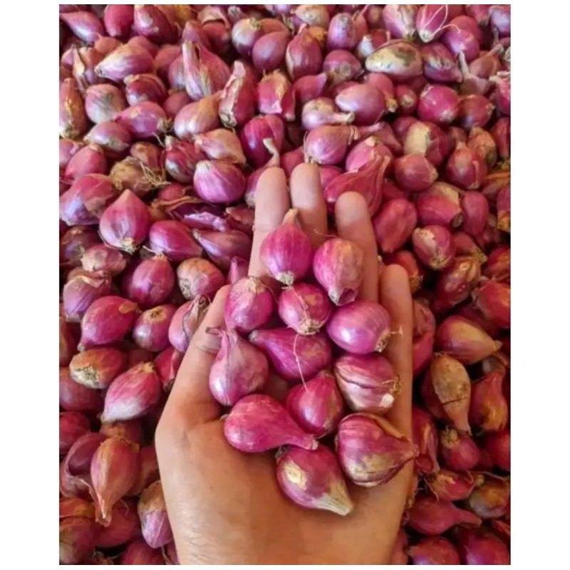 

Bawang merah 1 kg sedang kecil campur murah|berkualitas
