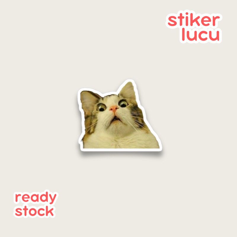 

Stiker Lucu | Sticker Aesthetic | Waterproof Sticker | Stiker Tahan Air | Stiker Unik | Stiker Satuan
