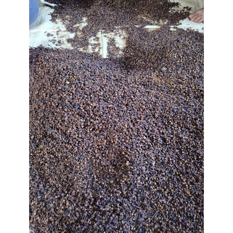 

cengkeh premium 1kg sortir