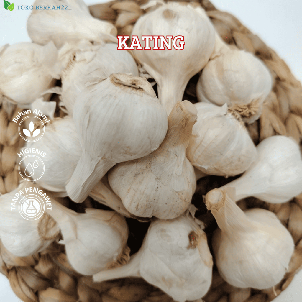 

Bawang Putih Kating Premium