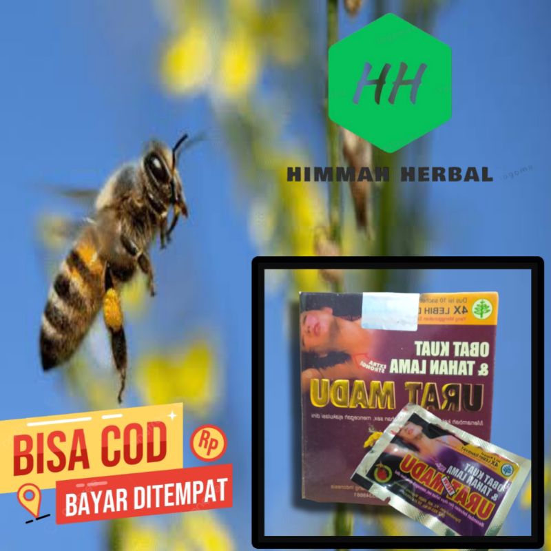 

madu dari hutan