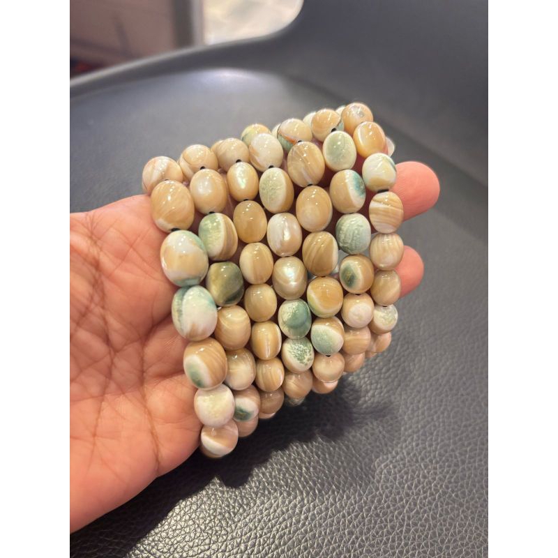 gelang cangkang kerang serbung asli