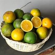 

buah jeruk beby java 25 kg