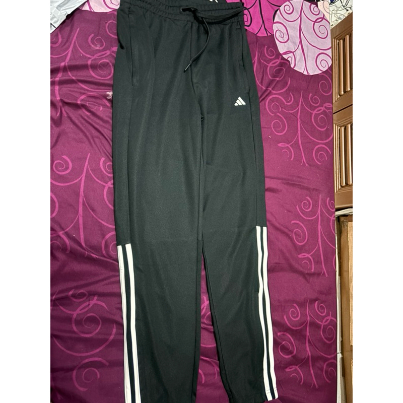 celana training adidas