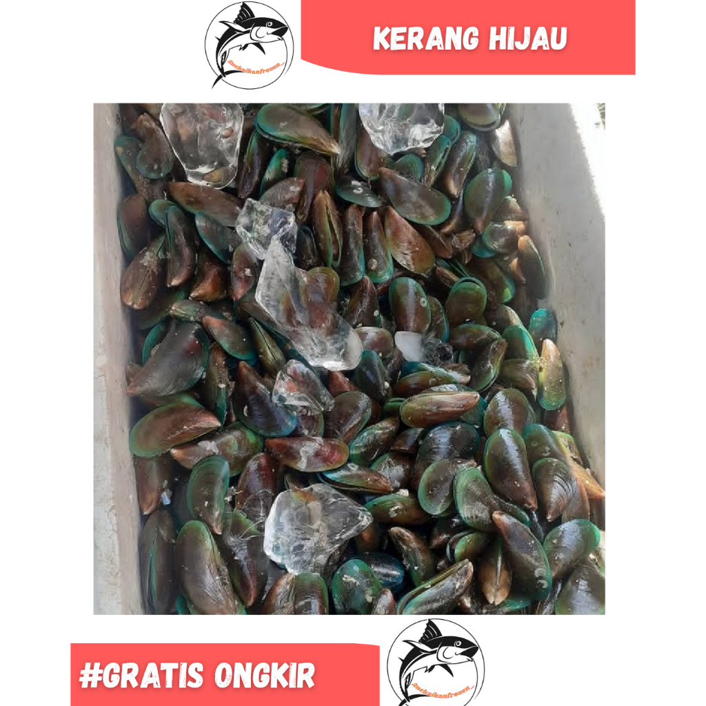 

Kerang Hijau/Ijo Jumbo Segar Seafood 1Kg