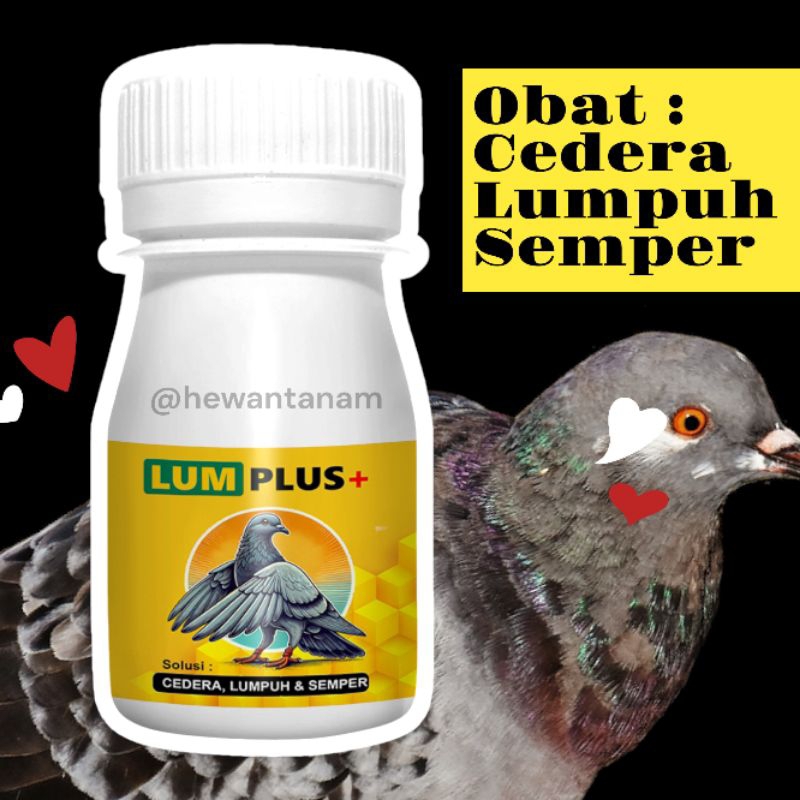 LUM PLUS Obat Merpati Lumpuh Cedera Semper Luka Benturan dan Salah Urat - Hewan Tanam